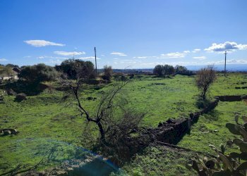 Foto 15 - Terreno agricolo Paterno - foto 15