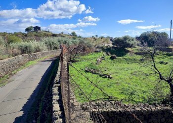 Foto 17 - Terreno agricolo Paterno - foto 17