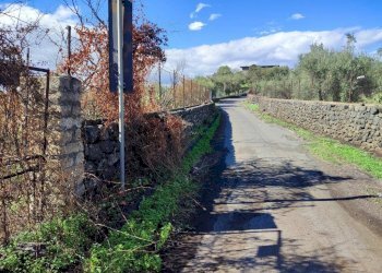 Foto 18 - Terreno agricolo Paterno - foto 18