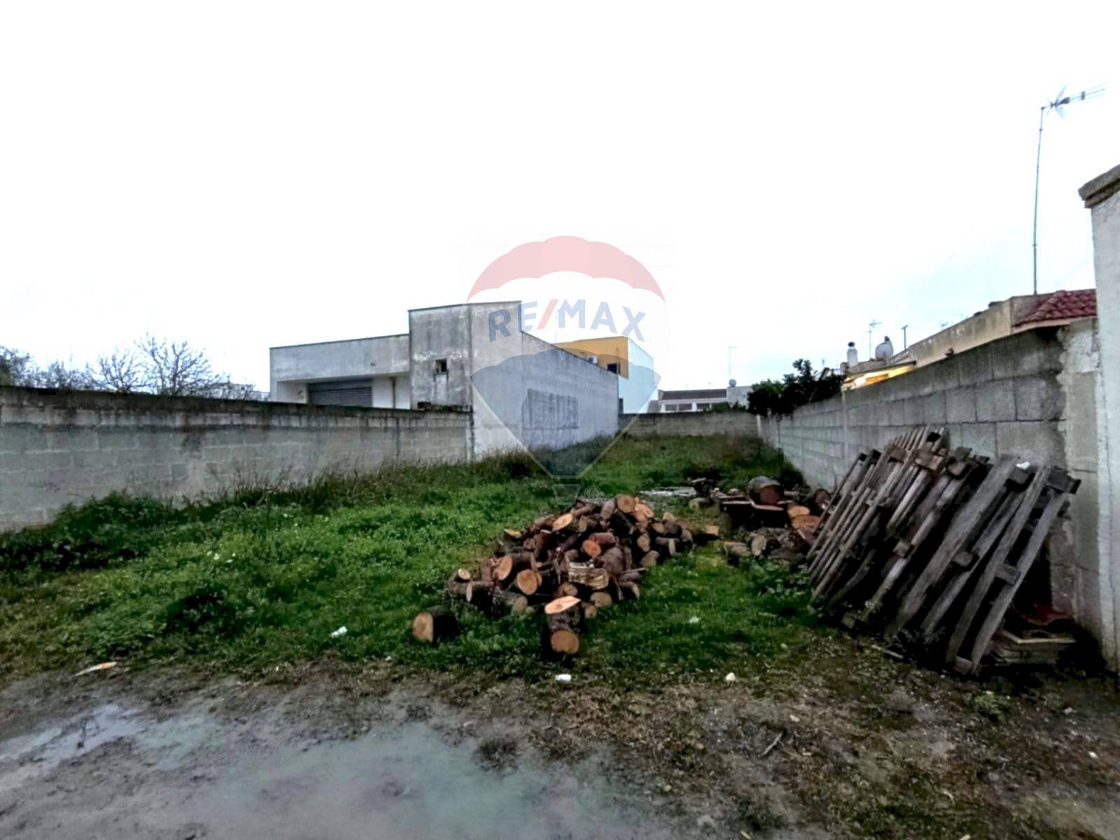 Giardino - Terreno edificabile Via Giuseppe Verdi
 
snc, Brindisi - foto 2