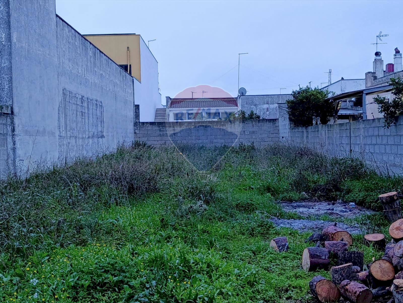Giardino - Terreno edificabile Via Giuseppe Verdi
 
snc, Brindisi - foto 3
