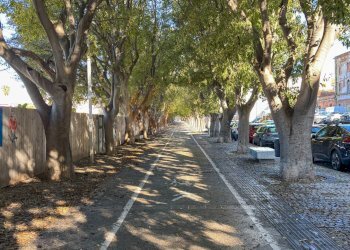 Foto 25 - Trilocale cordo francesco vico
 
17, Sassari - foto 25