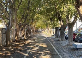 Foto 26 - Trilocale cordo francesco vico
 
17, Sassari - foto 26