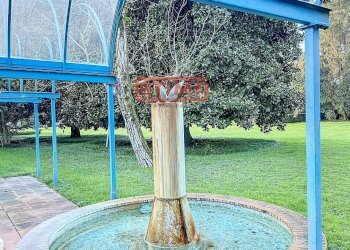 Foto 26 - Villa Preganziol - foto 26