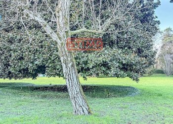 Foto 31 - Villa Preganziol - foto 31