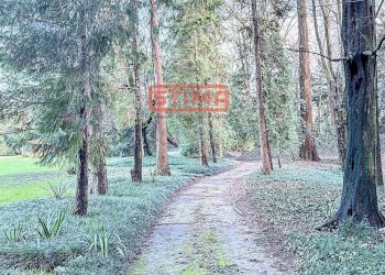 Foto 32 - Villa Preganziol - foto 32