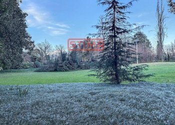 Foto 33 - Villa Preganziol - foto 33