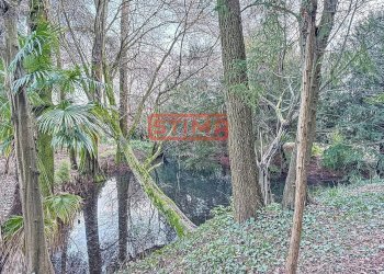 Foto 47 - Villa Preganziol - foto 47