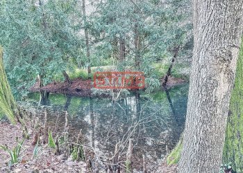 Foto 48 - Villa Preganziol - foto 48