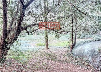 Foto 50 - Villa Preganziol - foto 50