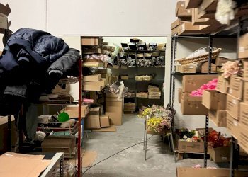 Foto 4 - Warehouse Savona - photo 4