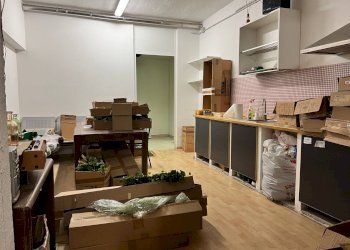 Foto 12 - Warehouse Savona - photo 12
