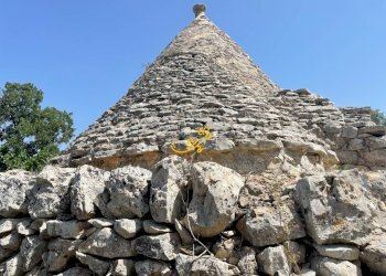 Foto 10 - Baita Contrada Cuoco, Martina Franca - photo 10