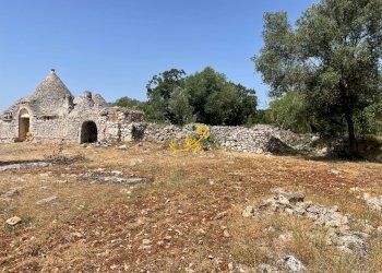 Foto 33 - Baita Contrada Cuoco, Martina Franca - photo 33