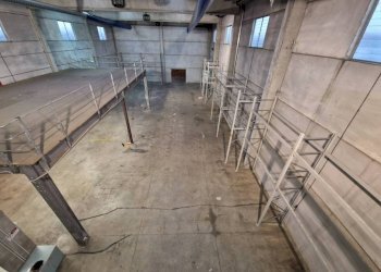 Magazzino - Capannone via A. Chaniach, Pogliano Milanese - foto 17