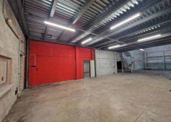 Magazzino - Capannone via A. Chaniach, Pogliano Milanese - foto 21