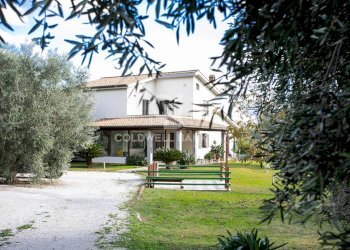 Foto 6 - Villa Località Bandita San Pantaleo, Tarquinia - foto 6