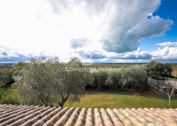 Foto 46 - Villa Località Bandita San Pantaleo, Tarquinia - foto 46