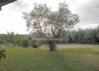 Foto 62 - Villa Località Bandita San Pantaleo, Tarquinia - foto 62