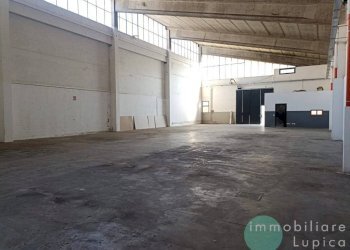 Vista - Capannone Casalecchio di Reno - foto 1