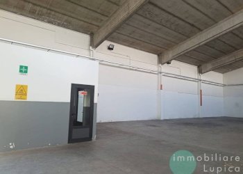 Vista - Capannone Casalecchio di Reno - foto 4