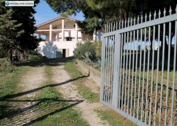 Foto 9 - Rustico Guglionesi - foto 9