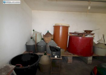 Foto 49 - Rustico Guglionesi - foto 49