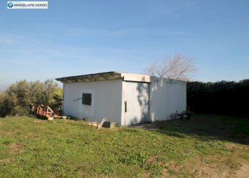 Foto 53 - Rustico Guglionesi - foto 53