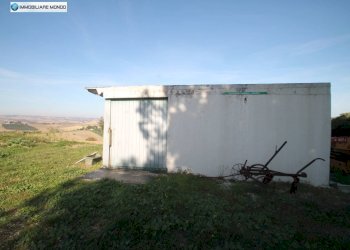 Foto 54 - Rustico Guglionesi - foto 54