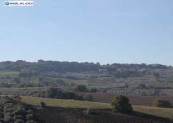 Foto 55 - Rustico Guglionesi - foto 55