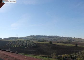 Foto 57 - Rustico Guglionesi - foto 57