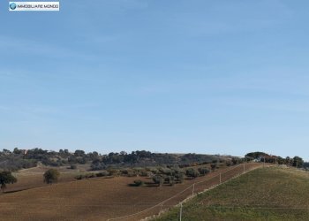 Foto 58 - Rustico Guglionesi - foto 58