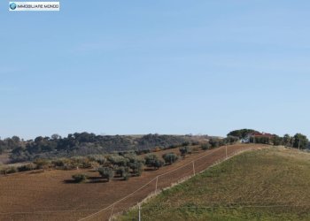 Foto 60 - Rustico Guglionesi - foto 60