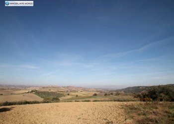 Foto 61 - Rustico Guglionesi - foto 61