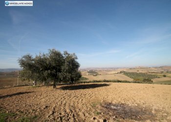 Foto 62 - Rustico Guglionesi - foto 62