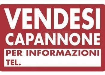 Foto 7 - Shed Via Pontida, San Benedetto del Tronto - photo 7