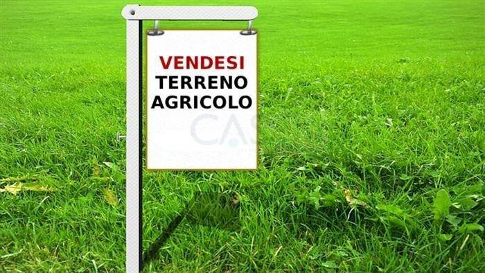 Foto 1 - Terreno agricolo Contrada  San Savino, Ripatransone - foto 1