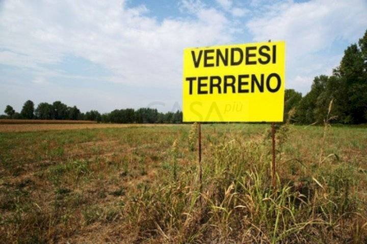 Foto 3 - Terreno agricolo Contrada  San Savino, Ripatransone - foto 3