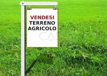 Foto 1 - Agricultural land Contrada  San Savino, Ripatransone - photo 1