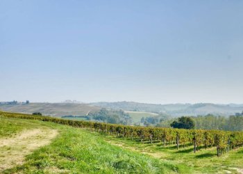 Vista - Rustic Frazione Valenzani, 88, Castagnole Monferrato - photo 46