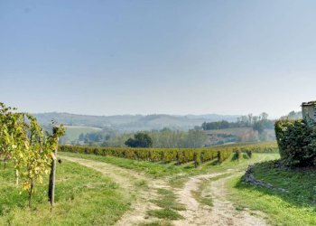 Terreno - Rustic Frazione Valenzani, 88, Castagnole Monferrato - photo 47