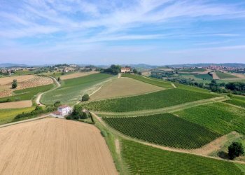 Zona - Rustic Frazione Valenzani, 88, Castagnole Monferrato - photo 50