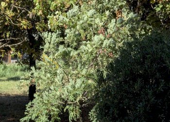 vista esterna - Trilocale Via Benedetto Croce 82, Modena - foto 11