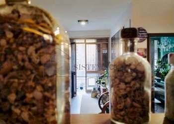 WhatsApp Image 2025-10-30 at 10.13.51 (2).jpeg - Porzione di casa Follo - foto 6