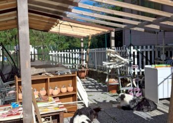 WhatsApp Image 2025-10-30 at 10.13.49 (2).jpeg - Porzione di casa Follo - foto 15