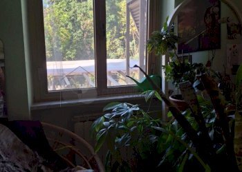 WhatsApp Image 2025-10-30 at 10.13.51 (6).jpeg - Porzione di casa Follo - foto 19