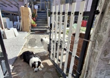 WhatsApp Image 2025-10-30 at 10.13.50 (1).jpeg - Porzione di casa Follo - foto 23