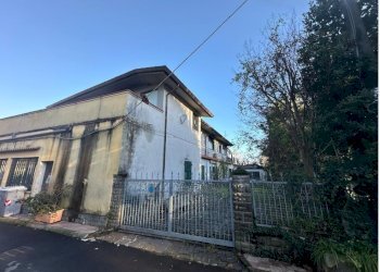 am4.JPG - Ristorante Ameglia - foto 6