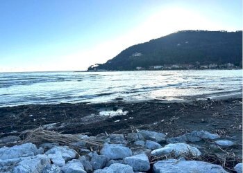 am5.JPG - Ristorante Ameglia - foto 7