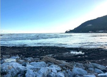 am6.JPG - Ristorante Ameglia - foto 8